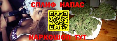 бошки Новокубанск