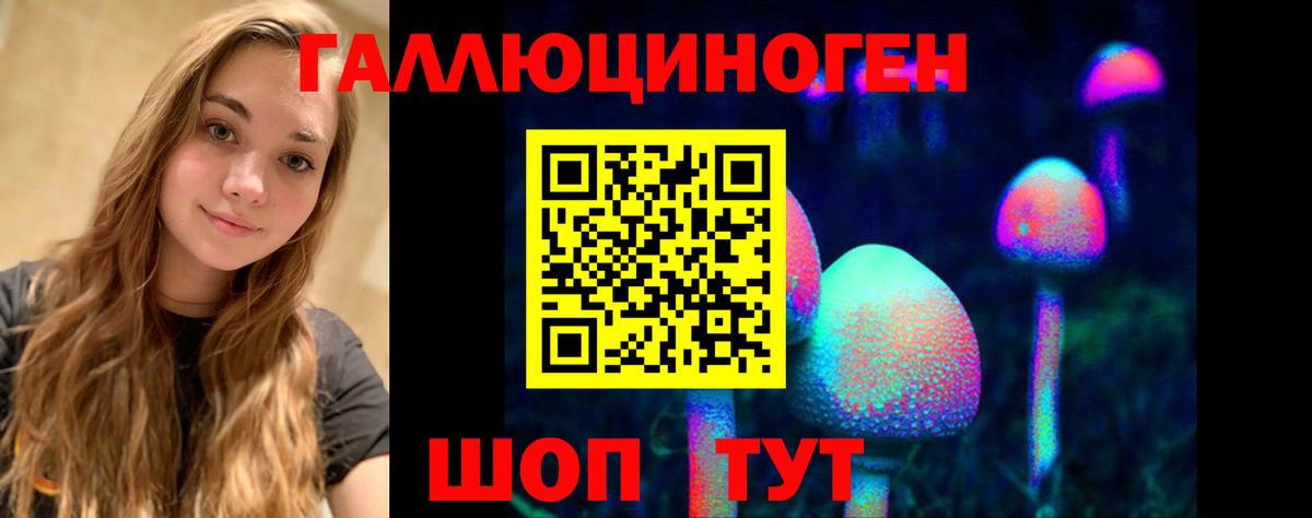 Советская Гавань  Псилоцибиновые грибы Cubensis  Вход с VPN 